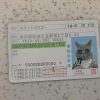 Japan-Driver-License-Template-