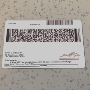 Kentucky-Driver-License-Template-