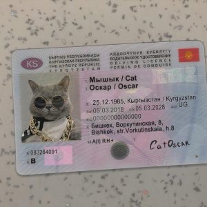 Kyrgyzstan-Driver-License-Template