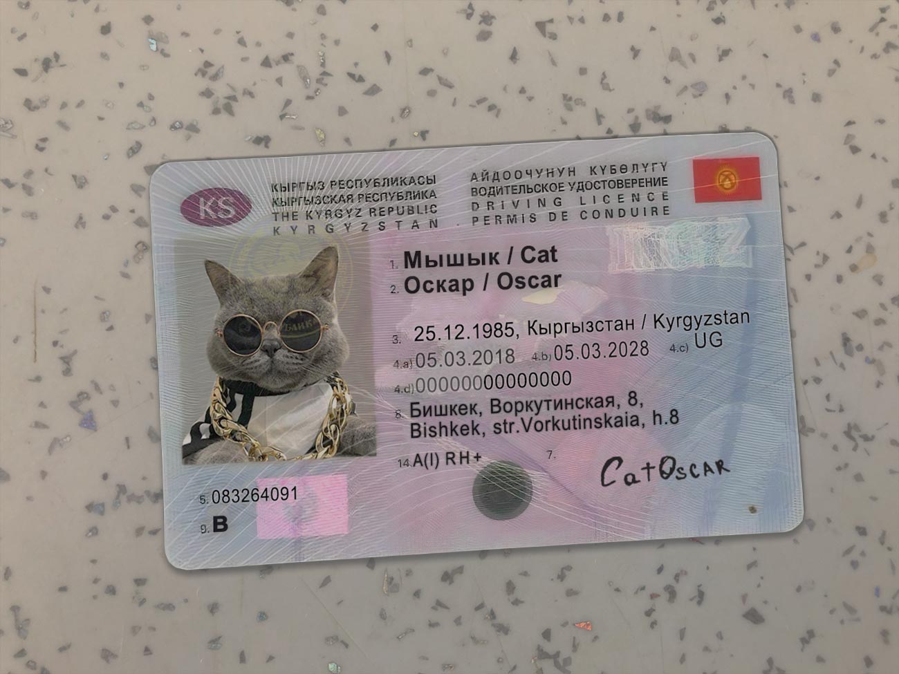 Kyrgyzstan-Driver-License-Template