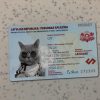 Latvia identity Card