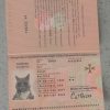 Malta-Passport-Template