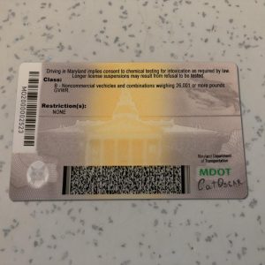 Maryland-Driver-License-Template