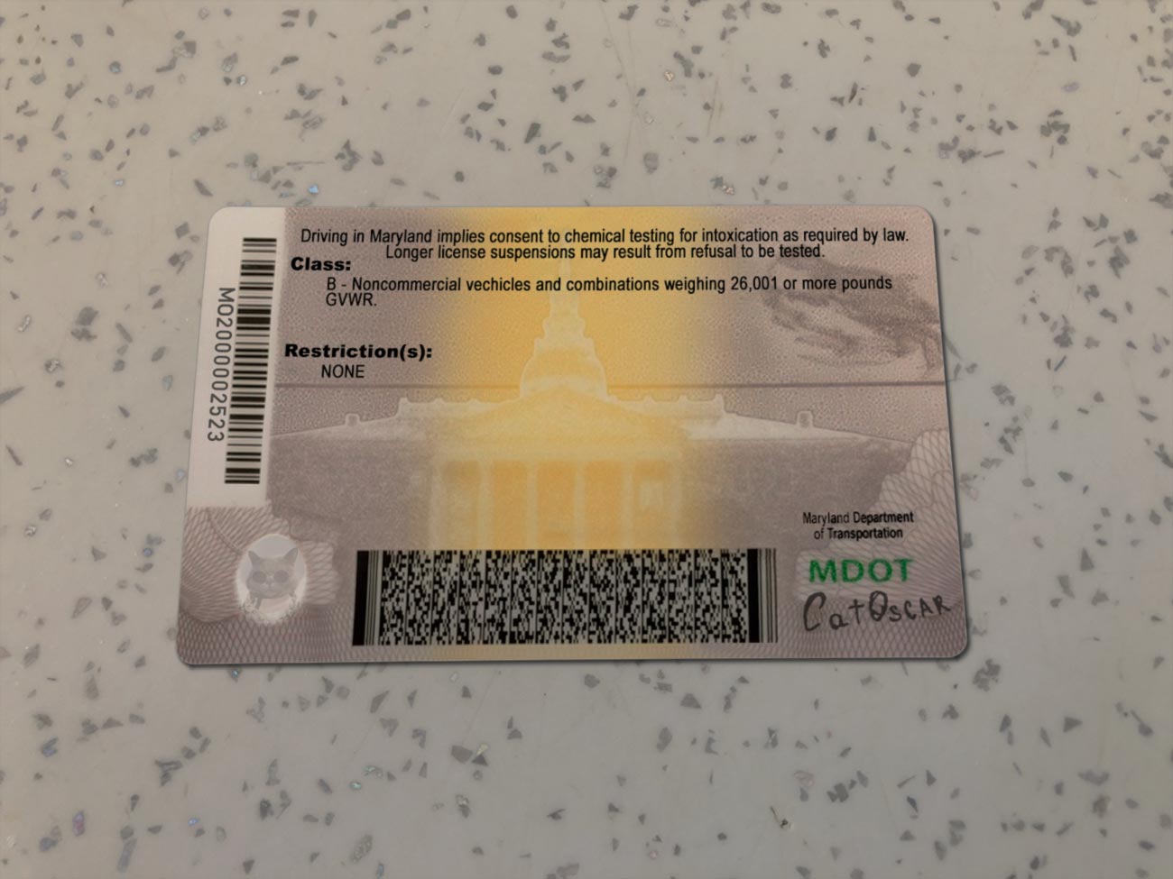 Maryland-Driver-License-Template