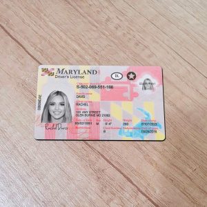 Maryland-Driver-License-Template