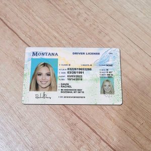 Montana-Driver-License-Template-