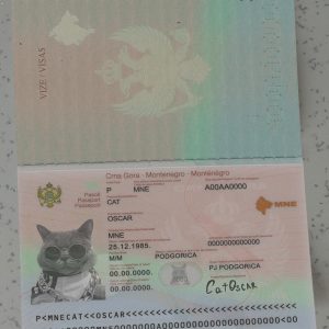 Montenegro-Passport-Template