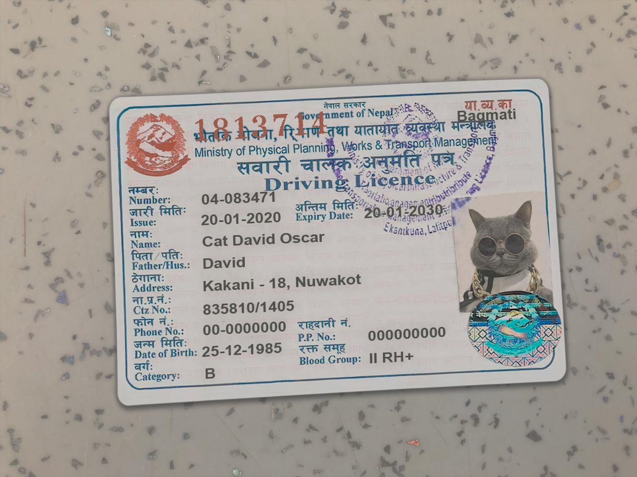 Nepal-Driver-License-Template