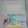 Netherlands-Passport-Template