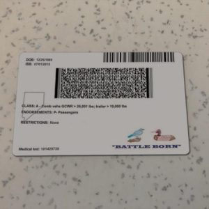 Nevada-Driver-License-Template-