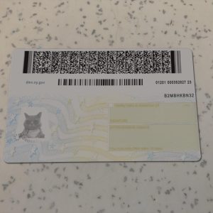 New-York-Driver-License-Template-