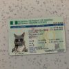 Nigeria-Driver-License-Template