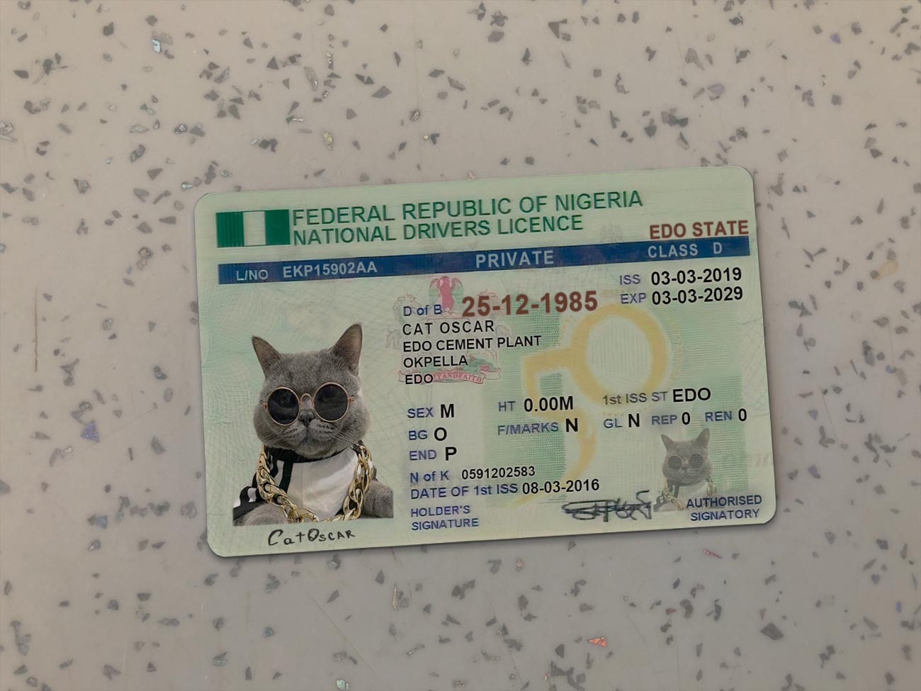 Nigeria-Driver-License-Template
