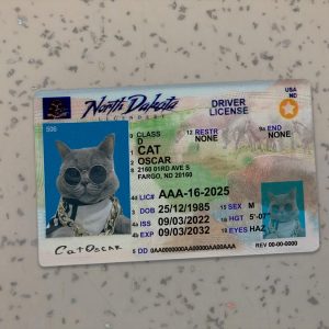 North-Dakota-Driver-License-Template-