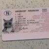 Norway-Driver-License-Template