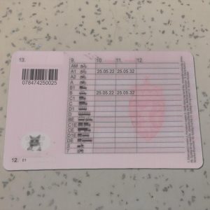 Norway-Driver-License-Template