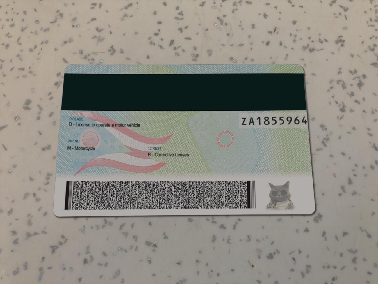 Ohio-Driver-License-Template-