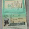 Pakistan-Passport-Template