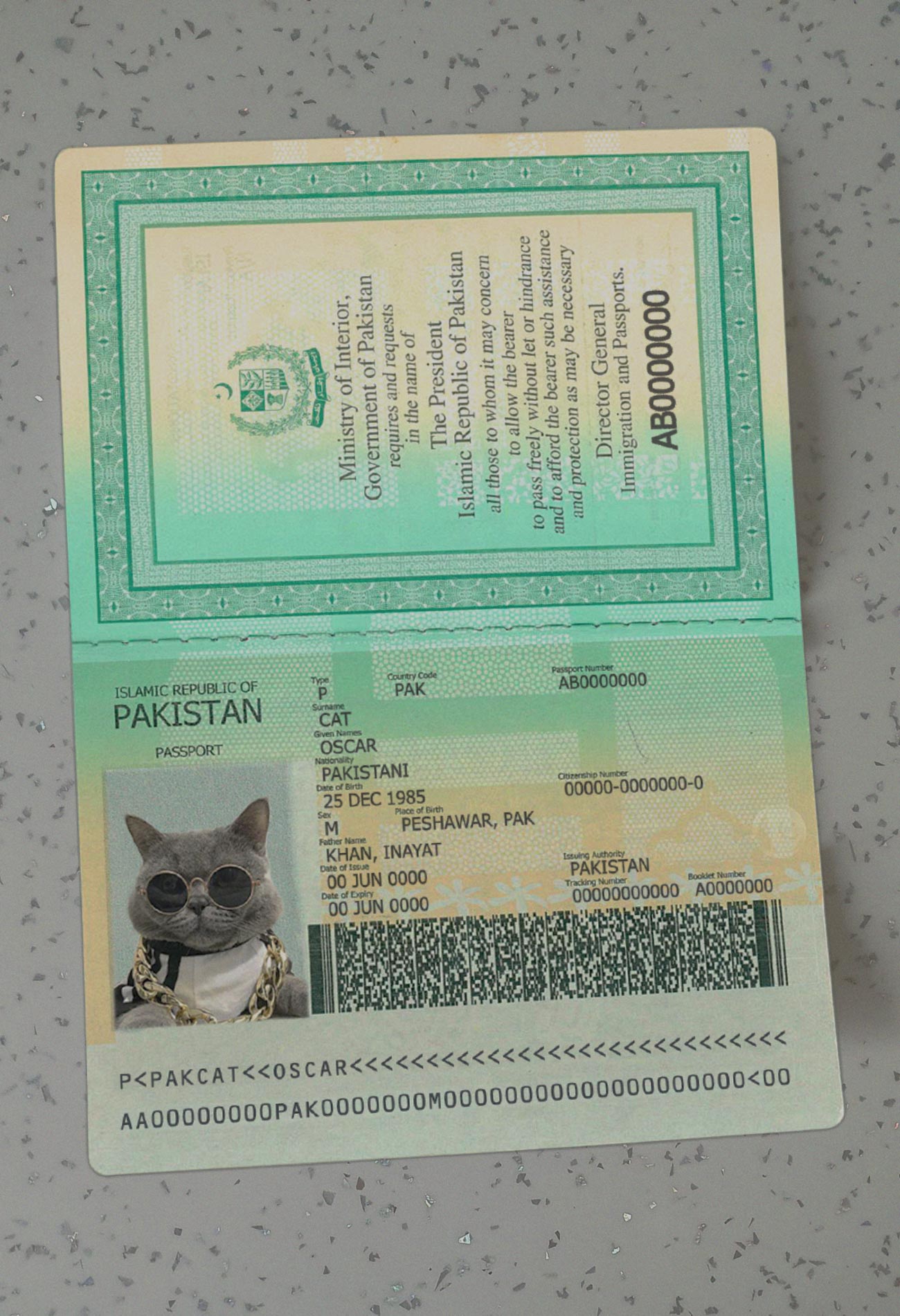 Pakistan-Passport-Template