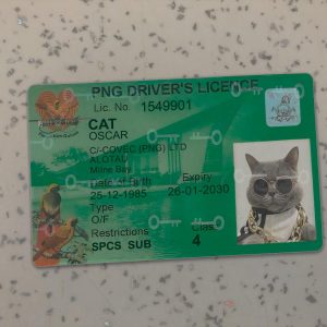 Papua-New-Guinea-Driver-License-Template-
