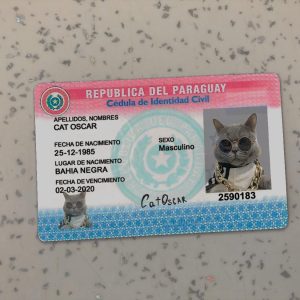 Paraguay-Identity-Card-Template