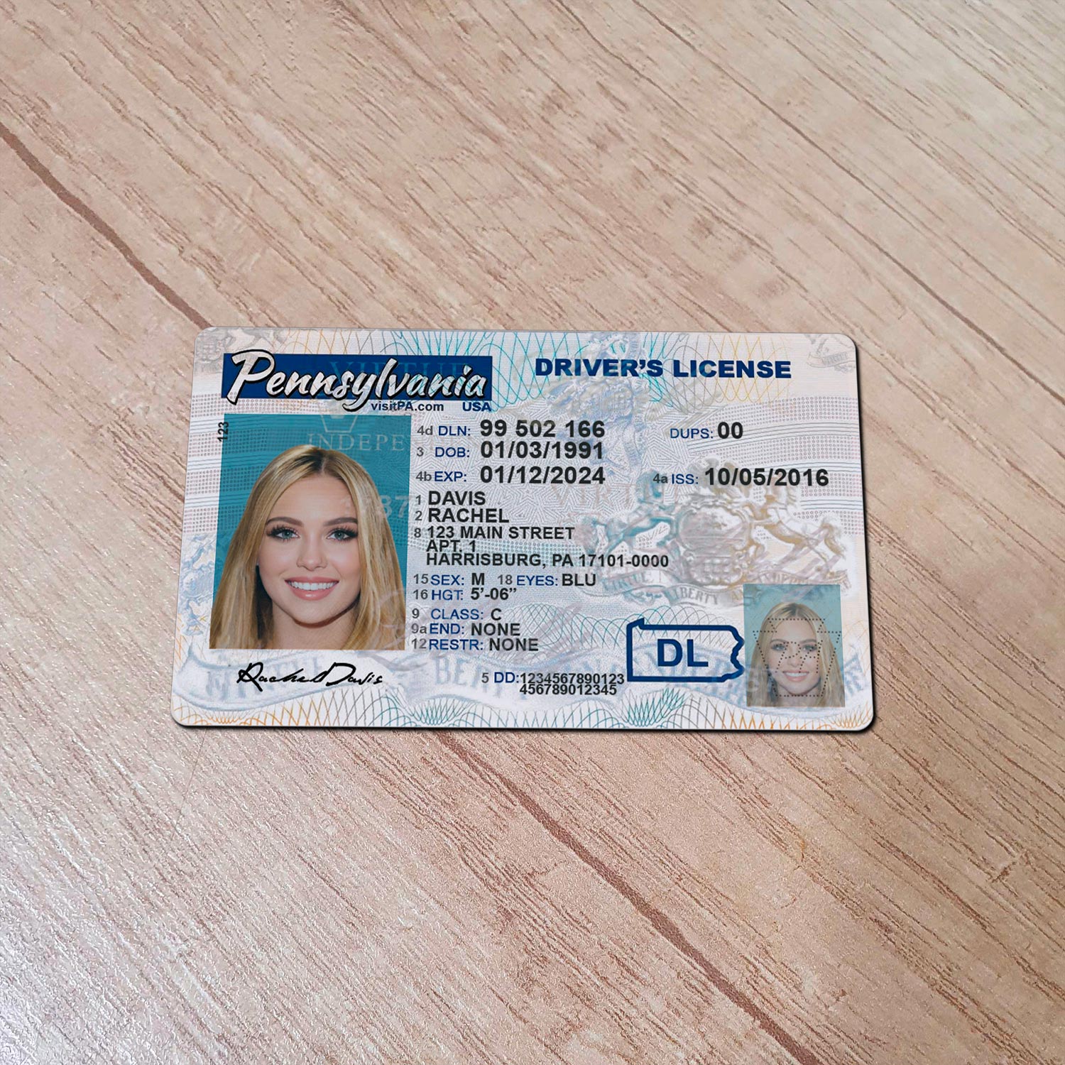 Pennsylvania-Driver-License-Template-