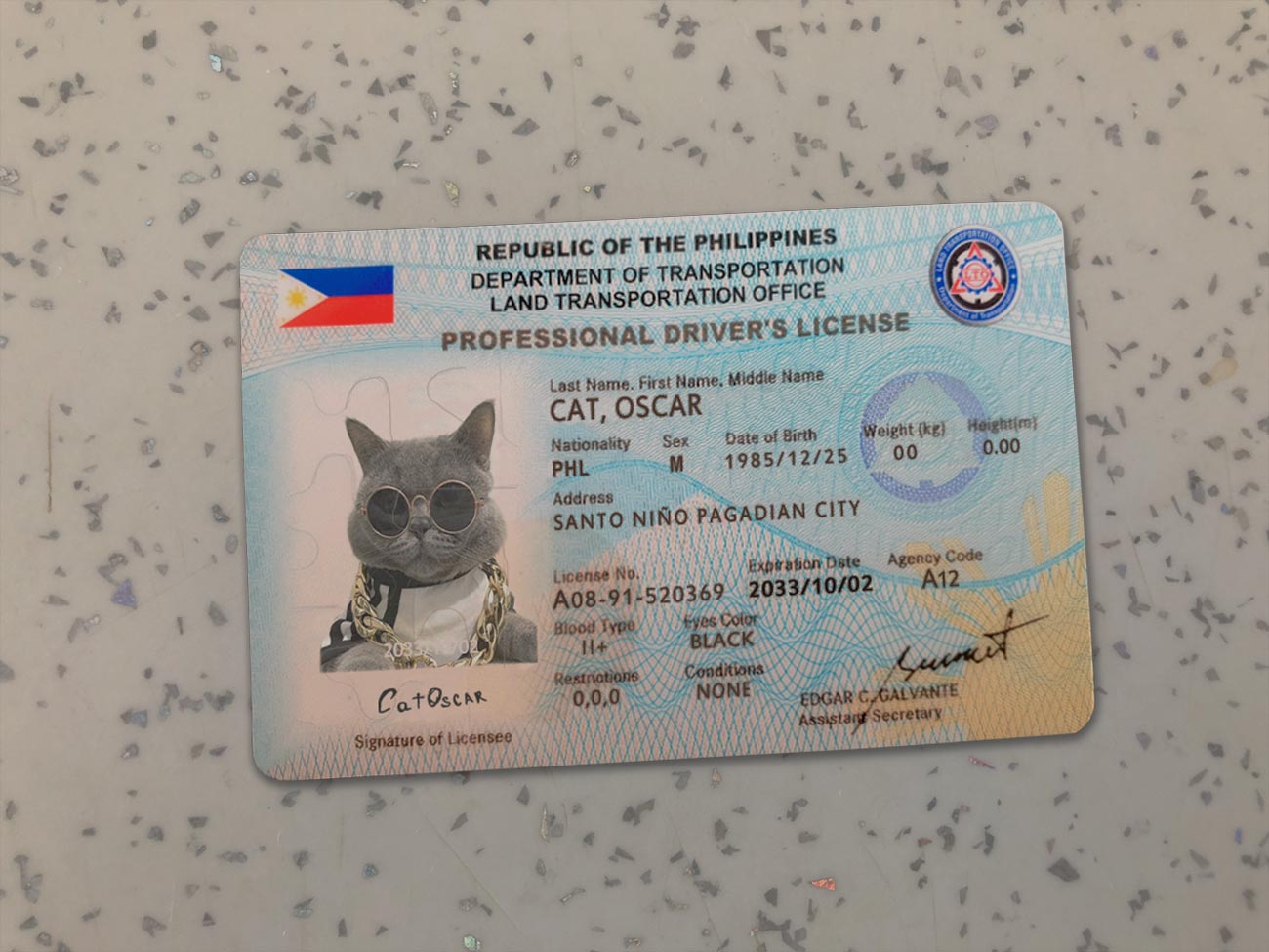 Philippines-driver-license-template