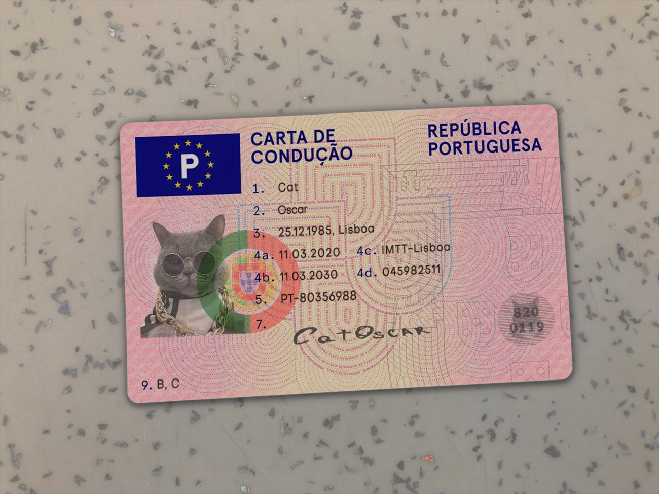 Portugal-Driver-License-Template