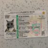 Puerto-Rico-Driver-License-Template