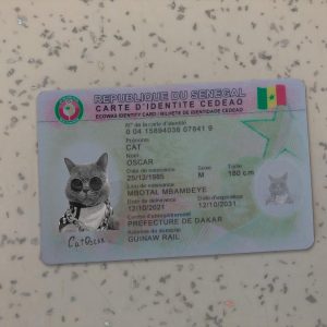 Senegal ID Car Template