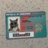 Singapore-Driver-License-Template