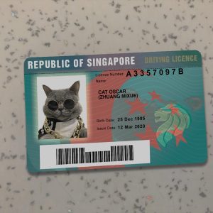 Singapore-Driver-License-Template