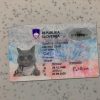 Slovenia Identity Card