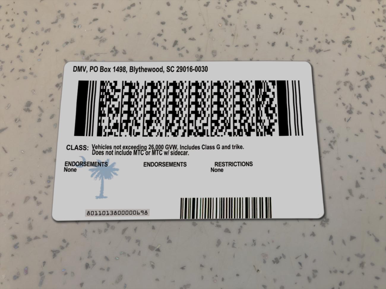 South-Carolina-Driver-License-Template-