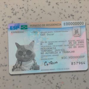 Spain Residence Card PSD Template