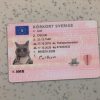Sweden-Driver-License-Template