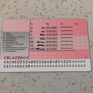 Switzerland-Driver-License-Template