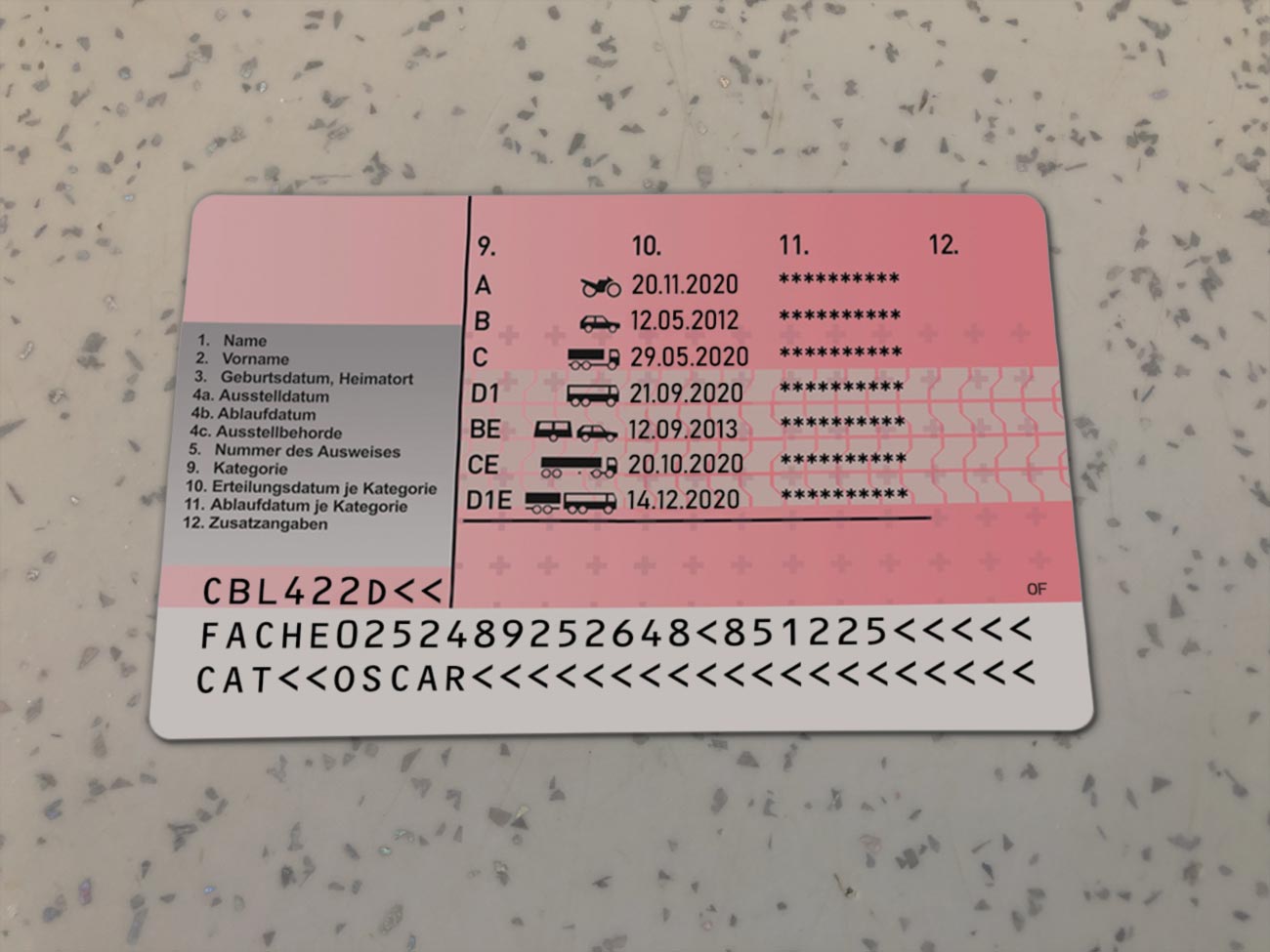Switzerland-Driver-License-Template