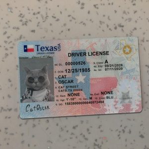 Texas-Driver-License-Template