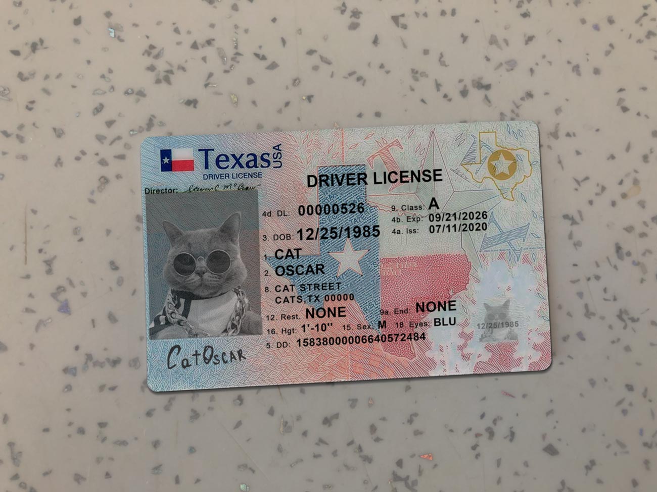 Texas-Driver-License-Template