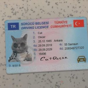 Turkey-Driver-License-Template