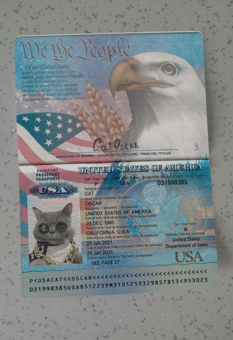 USA-Passport-Template