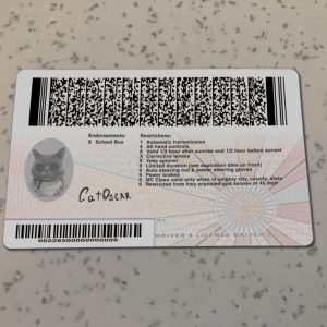 Virginia-Driver-License-Template