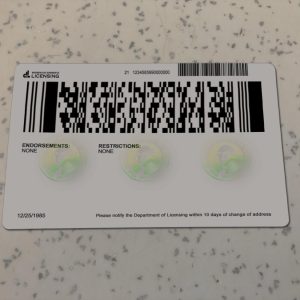 Washington-Driver-License-Template