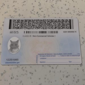 Wisconsin-Driver-License-Template