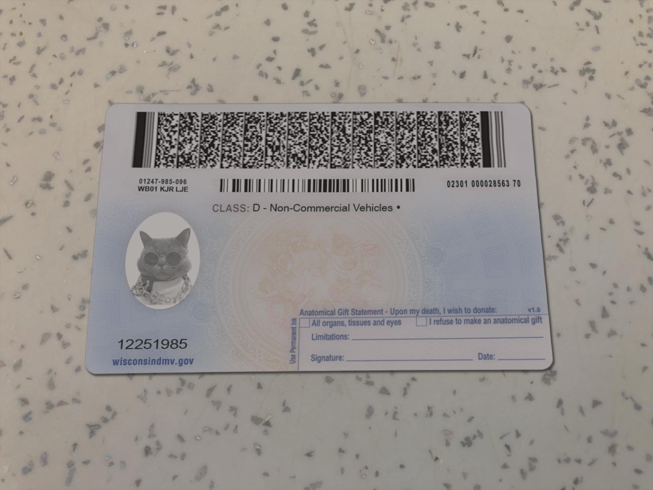 Wisconsin-Driver-License-Template